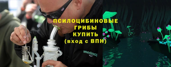 apvp Бугульма