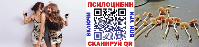 Псилоцибиновые грибы мухоморы  как найти закладки  МЕГА ссылка  Северобайкальск 